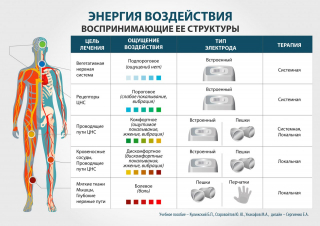 СКЭНАР-1-НТ (исполнение 01)  в Когалыме купить Медицинский интернет магазин - denaskardio.ru 